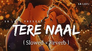 Tere Naal - Lofi (Slowed + Reverb) | Darshan Raval, Tulsi Kumar | SR Lofi
