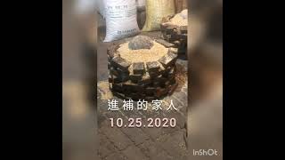 陳家飛麼麗 - 新化王家燻羊肉 10.25.2020