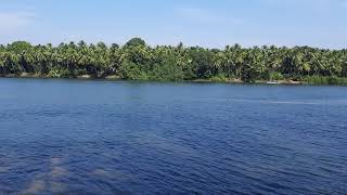 ಬಳಕೂರಿನಲ್ಲಿ ಹರಿದಿರುವ ಶರಾವತಿ ನದಿಯ ಒಂದು ನೋಟ. ( Sharavati River in Balkoor, Honnavar)