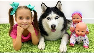 София и её Любимые Игрушки, Куклы и Собака