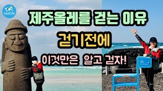 [제주올레 14코스] 올레길 걸을때 알고 가시면 좋을 팁 / 14코스에서 가장 멋진 구간 / 정방향으로 걷기