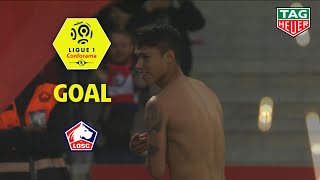 Goal Luiz ARAUJO (88') / LOSC - Angers SCO (5-0) (LOSC-SCO) / 2018-19