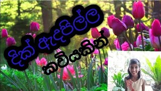 දික් ඇදපිල්ල | කවියකින් මුලු පාඩමම | 2 වසර | @දැනුම_product