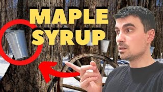 Sugar Shack, Canada | how to collect maple syrup from trees