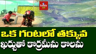 ఒక గంటలో తక్కువ ఖర్చుతో కొర్రమీను కొలను | Korameenu Fish Farming | hmtv Agri