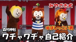 【みやざき犬】すばしっこい男！かぁくん！（ワチャワチャ自己紹介）