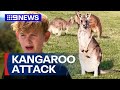 Boy survives vicious kangaroo attack | 9 News Australia