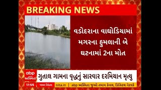 Vadodara: વડોદરાના વાઘોડિયામાં મગરના હુમલામાં બે લોકોના મોત થયા