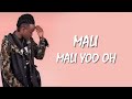 mali by confy official lyrics video