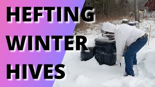 Hefting winter hives