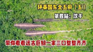 环泰国东北五府（五）：在汶干府看远古陆地巨鲸一家三口整整齐齐