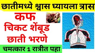 छातीत कफ, बलगम, जकड़न चा घरगुती उपचार | Cough, Chest Congestion Home Remedy || Ayurveda