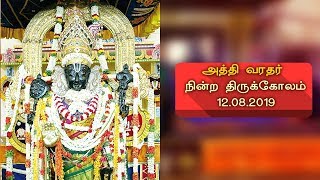 காஞ்சி அத்தி வரதர் நின்ற திருக்கோலம் | 12.08.2019 | Talk Media