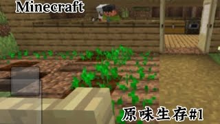 原味生存#1 大家好我是芒果这一个是我第一次制作那么长的视频,是#minecraft 原味生存,请多多支持[芒果]