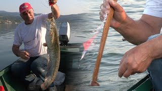 Pecanje soma na Dunavu - Bućka u Đerdapu | Fishing catfish