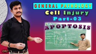 Cell Injury-03 | Apoptosis | General Pathology | Clinical Care Insights