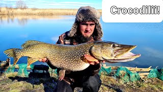 🎣 PARTIDA PERFECTĂ! 🐊 ȘTIUCI MARI la spinning imediat după DEZGHEȚ la Dyno Lake