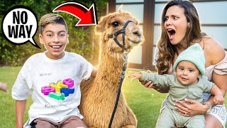 SURPRISING our KIDS With Their DREAM PET! (Emotional) | The Royalty Family