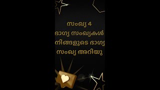 ജന്മസംഖ്യ പറയും നമ്മുടെ ഭാഗ്യം #Shorts | 4 | Numerology | Malayalam Astrology