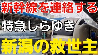 【新潟と上越妙高を連絡】利用者が少ない特急しらゆきに乗車、上越妙高ではくたかに乗り換えて富山へ