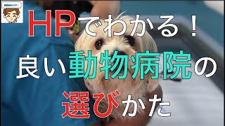 HPでわかる！！良い動物病院の見分けかた【獣医の見解】