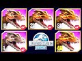 TYRANNOLOPHOSAUR MAX LEVEL FEEDING (JURASSIC WORLD THE GAME)