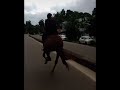 keralahorse. kerala horse riding 😮