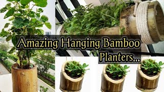 Amazing Hanging Bamboo Planter | DIY Planter