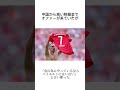 リベリーに関する雑学 サッカー うぺまろ リベリー バイエルン サッカー雑学