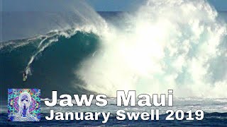 Jaws Maui - January Swell 2019