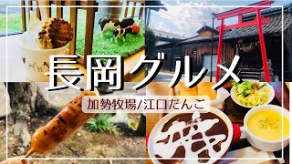 【長岡グルメ#1】レトロ喫茶店の本格ビーフシチュー/牧場直営店のガンジー牛乳ソフト/江口だんご摂田屋店【食べ歩き】