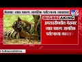 amravati melghat tiger reserve मेळघाट व्याघ्र प्रकल्पाला सीएटीएसची मान्यता