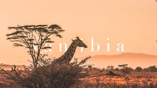 Namibia - Cinematic Wildlife Adventure