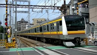 JR南武線E233系N21編成快速川崎行き 向河原駅前踏切通過