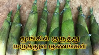 மூங்கில் குருத்து மருத்துவ குணங்கள் | Bamboo shoots health benefits