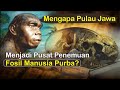 Mengapa Pulau Jawa Menjadi Pusat Penemuan Fosil Manusia Purba?