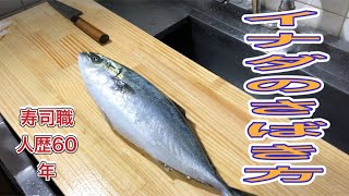 イナダのさばき方 握り 刺身/How to filet young yellowtail by sushi chef