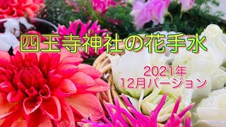 【花手水】12月クリスマスバージョンとお正月バージョン:四王寺神社