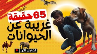 حقائق مذهلة عن الحيوانات لن تصدقها! اكتشف أغرب قدراتها 🦉🐘🐍