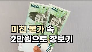 2만원으로 일주일 반찬 사기 / 재래시장 장보기 / 미친물가 극복기