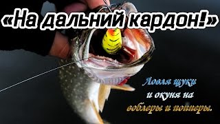 Ловля щуки и окуня на воблеры и попперы летом | На дальний кардон!