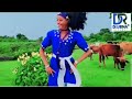 new ethiopian music sekota የሰቆጣ ባህላዊ ሙዚቃ የሰቆጣ ባህላዊ ጭፈራ ቀውጢ የሆነ የሰቆጣ ውዝዋዜ sekota music dejena ሪከርድስ