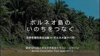 認定NPO法人ボルネオ保全トラスト・ジャパン イントロダクション