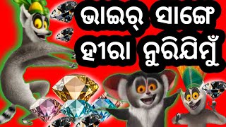 ହରିଶଙ୍କର ର ଗନ୍ଧମାର୍ଦ୍ଦନ ପାହାଡ଼କେ ହିରା ନୁରିଯିମୁଁ#koshalmedia #sambalpuri #westernodisha#diomond