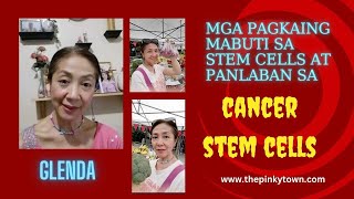 MGA PAGKAING MABUTI SA STEM CELLS AT PANLABAN SA CANCER STEM CELLS