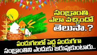 పెద్ద పండుగ సంక్రాంతి ఎలా వచ్చిందో తెలుసా.? |  Importance of Sankranti Festival | Shritv