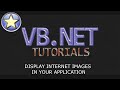 VB.NET Tutorial - Display Internet Images In Your Application (Visual Basic .NET)