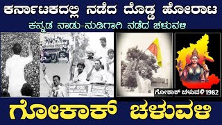 Gokak Movement | ಕರ್ನಾಟಕದಲ್ಲಿ ನಡೆದ ಬಹುದೊಡ್ಡ ಹೋರಾಟ ಈ ಗೋಕಾಕ್ ಚಳುವಳಿ | ಕನ್ನಡ ಭಾಷೆಗಾಗಿ ನಡೆದ ಫೈಟ್ | PVM |