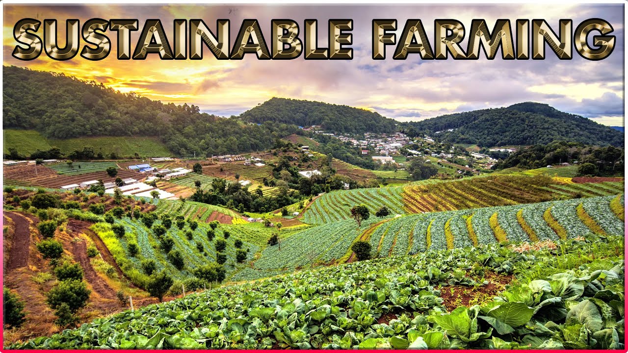 Sustainable Farming In Australia | Organic And Regenerative Agriculture ...