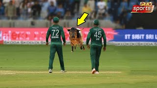 Top 10 Rare Moments In Cricket Ever || Cricket Hub
